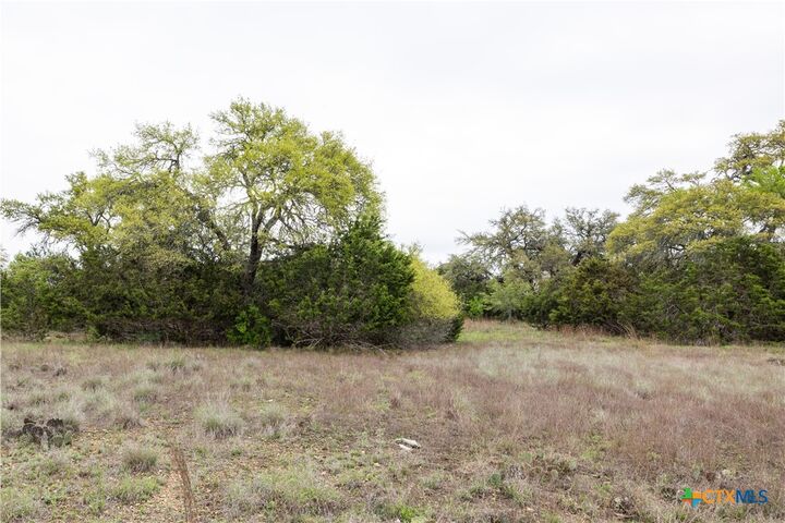 Property Photo:  Tbd Logan'S Way  TX 78606 