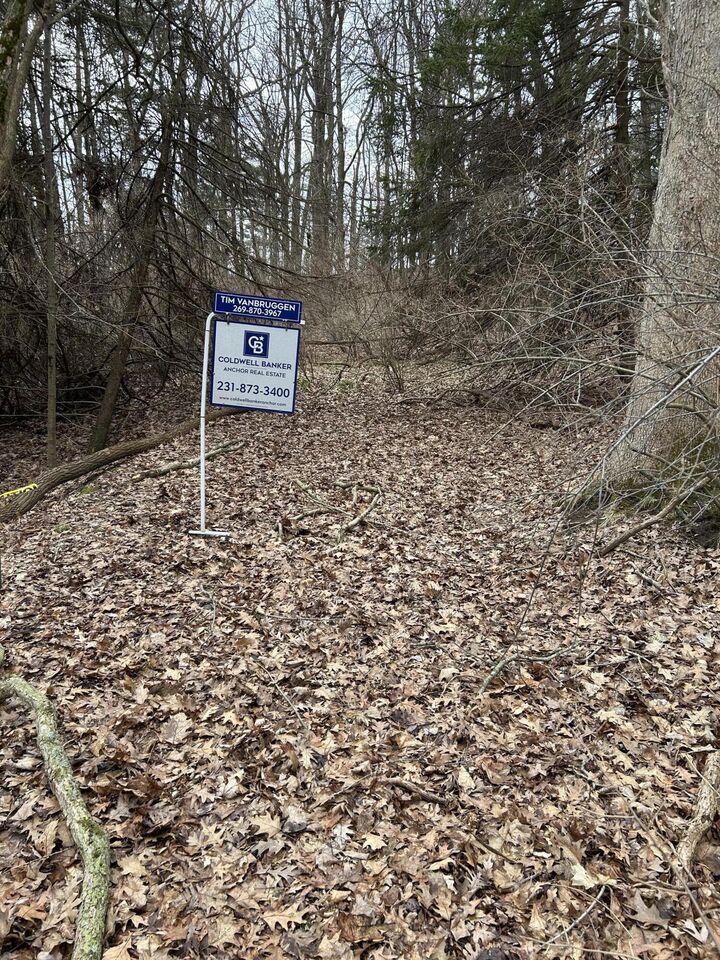 Property Photo: V/L Smugglers Pass Lot 15 MI 49449