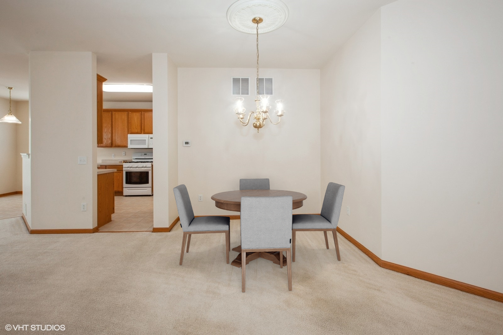 Property Photo:  696 S Wellston Lane  IL 60446 