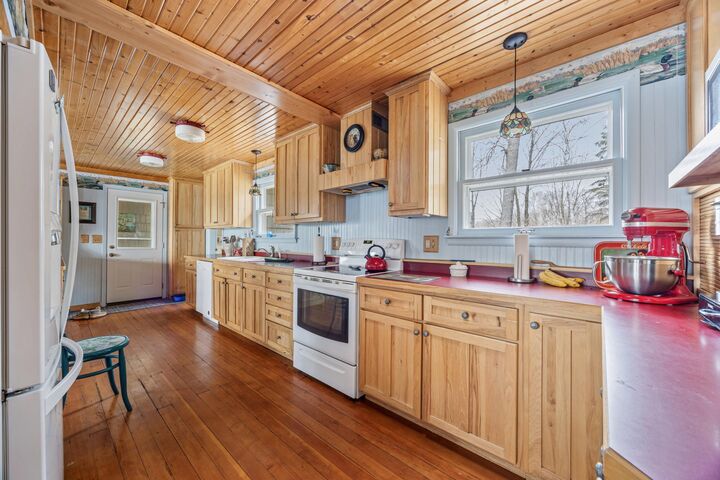 32331 Loon Drive  Candor Twp MN 56587 photo