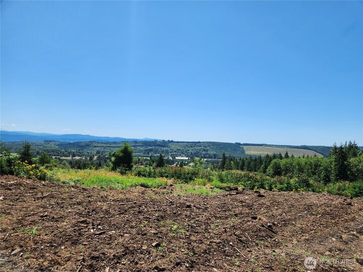 Property Photo:  171  Starlight Drive, Lot 1  WA 98570 