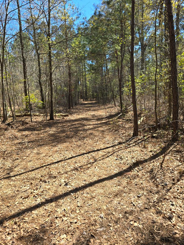 Property Photo: Falcon Dr SC 29150