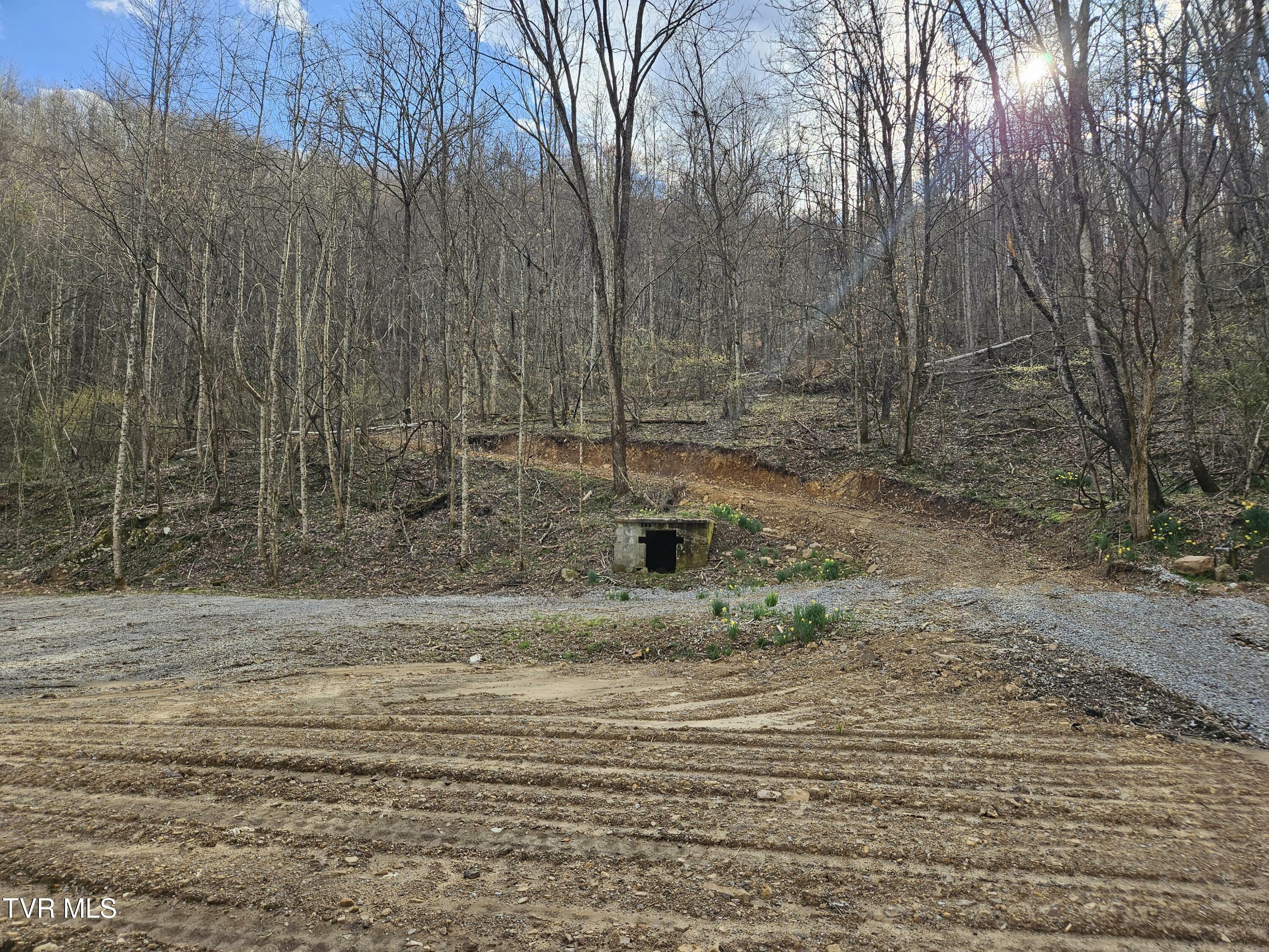 Property Photo:  Tbd Right Poor Valley Road  VA 24243 