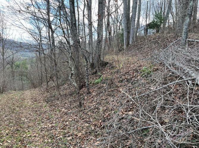 Property Photo:  0000 Everidge Drive  NC 28716 