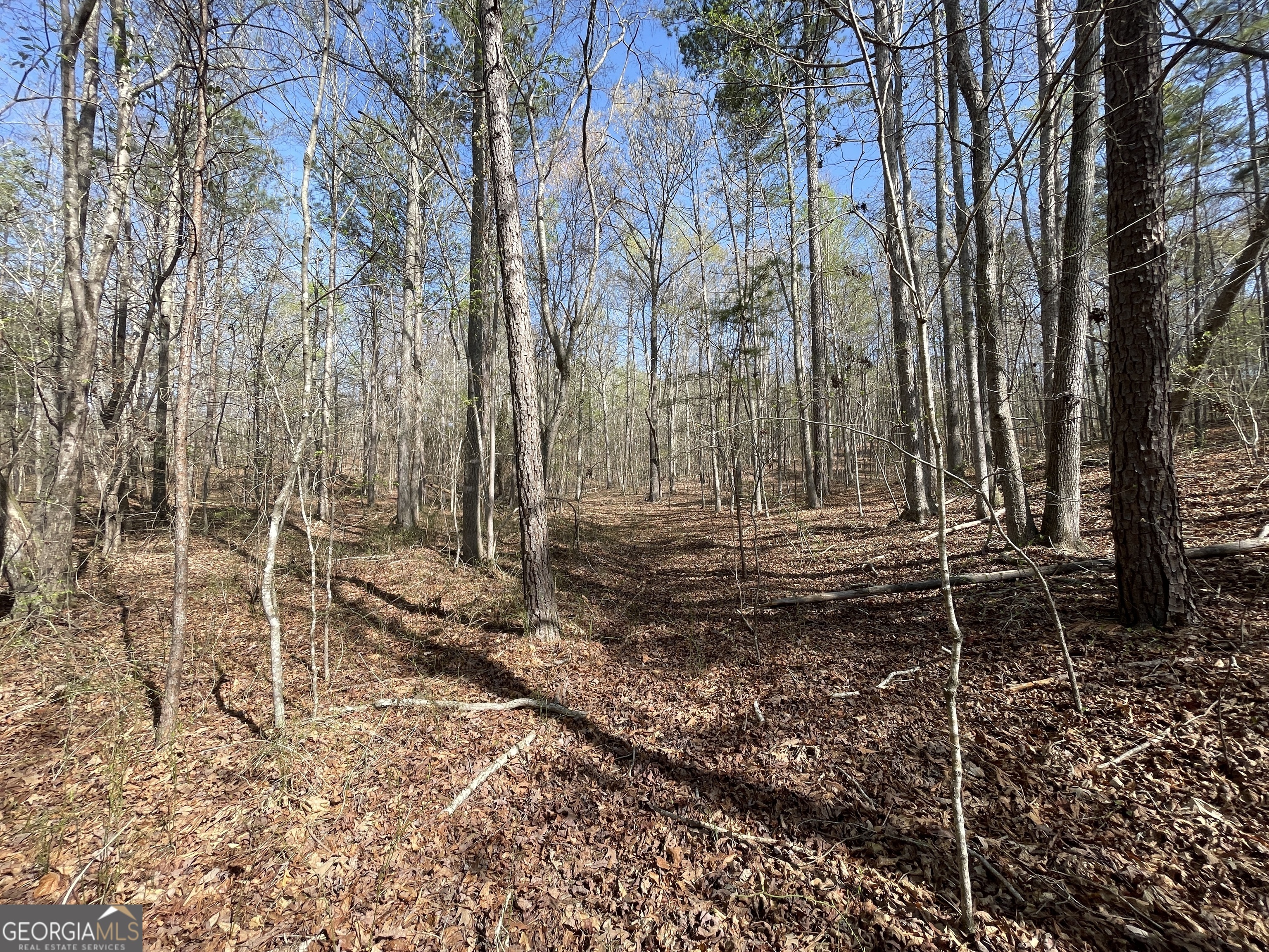 1174 Little Texas Valley Road NW  Rome GA 30165 photo