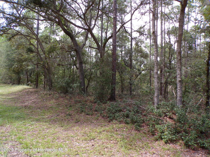 Property Photo:  601 E Marquette Lane  FL 34434 