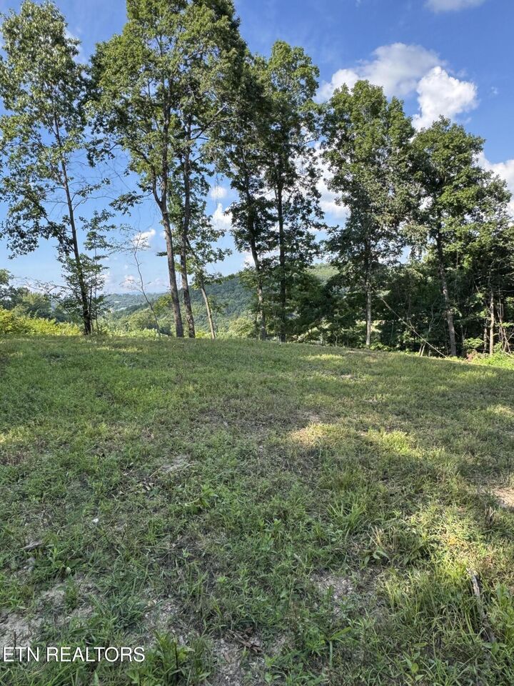 Property Photo: Cole Hollow Rd TN 37825