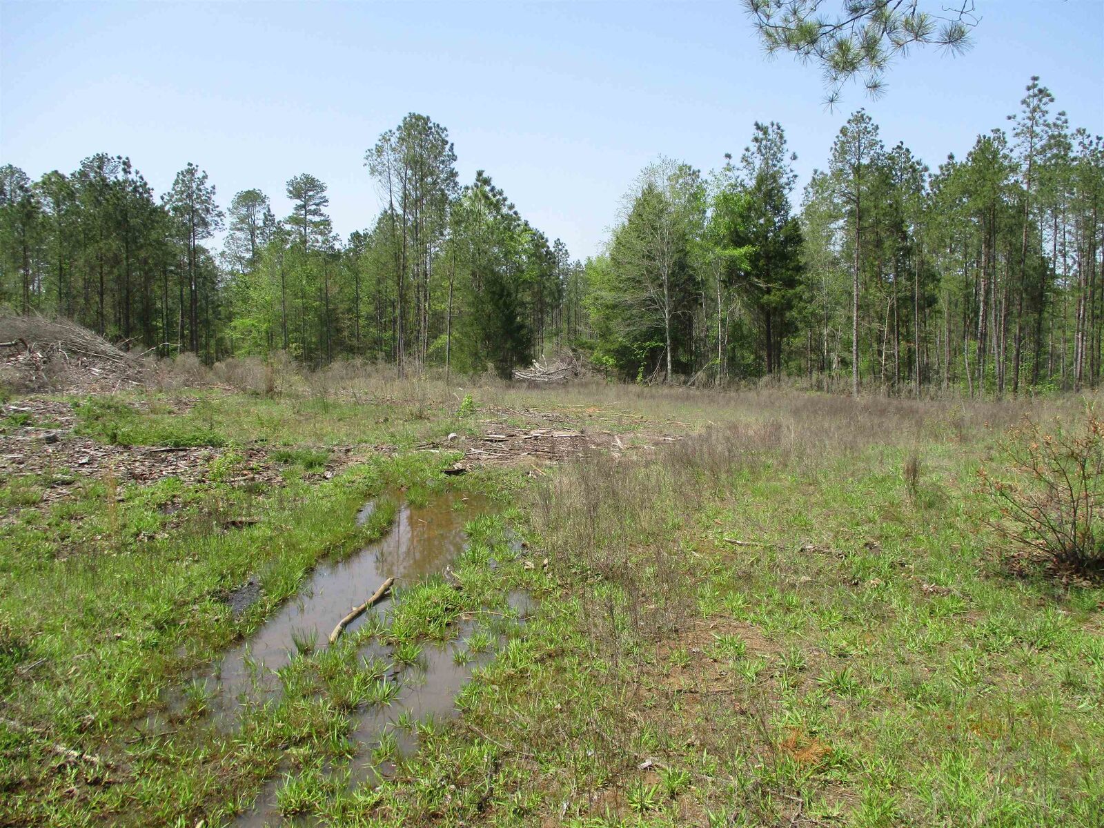 Property Photo:  0000 Cr 461 S  TX 75667 