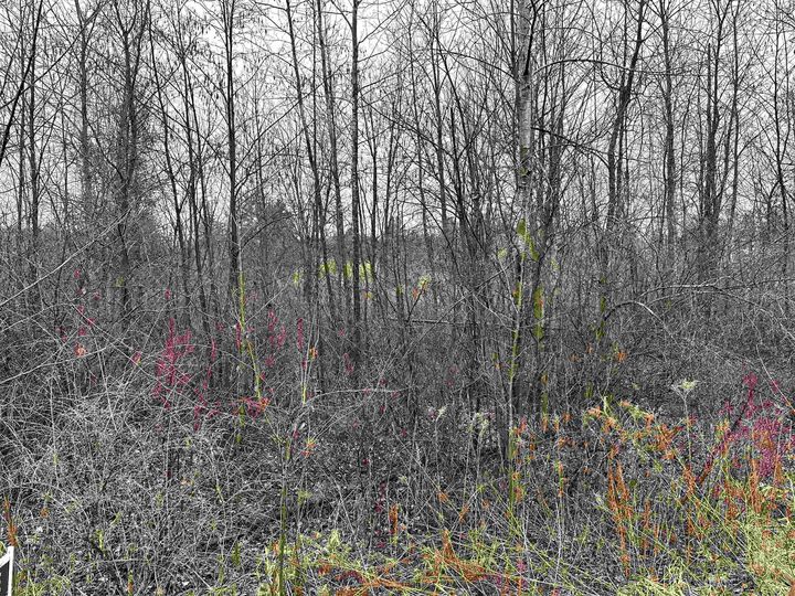 Property Photo:  4019 Bay  MI 48612 