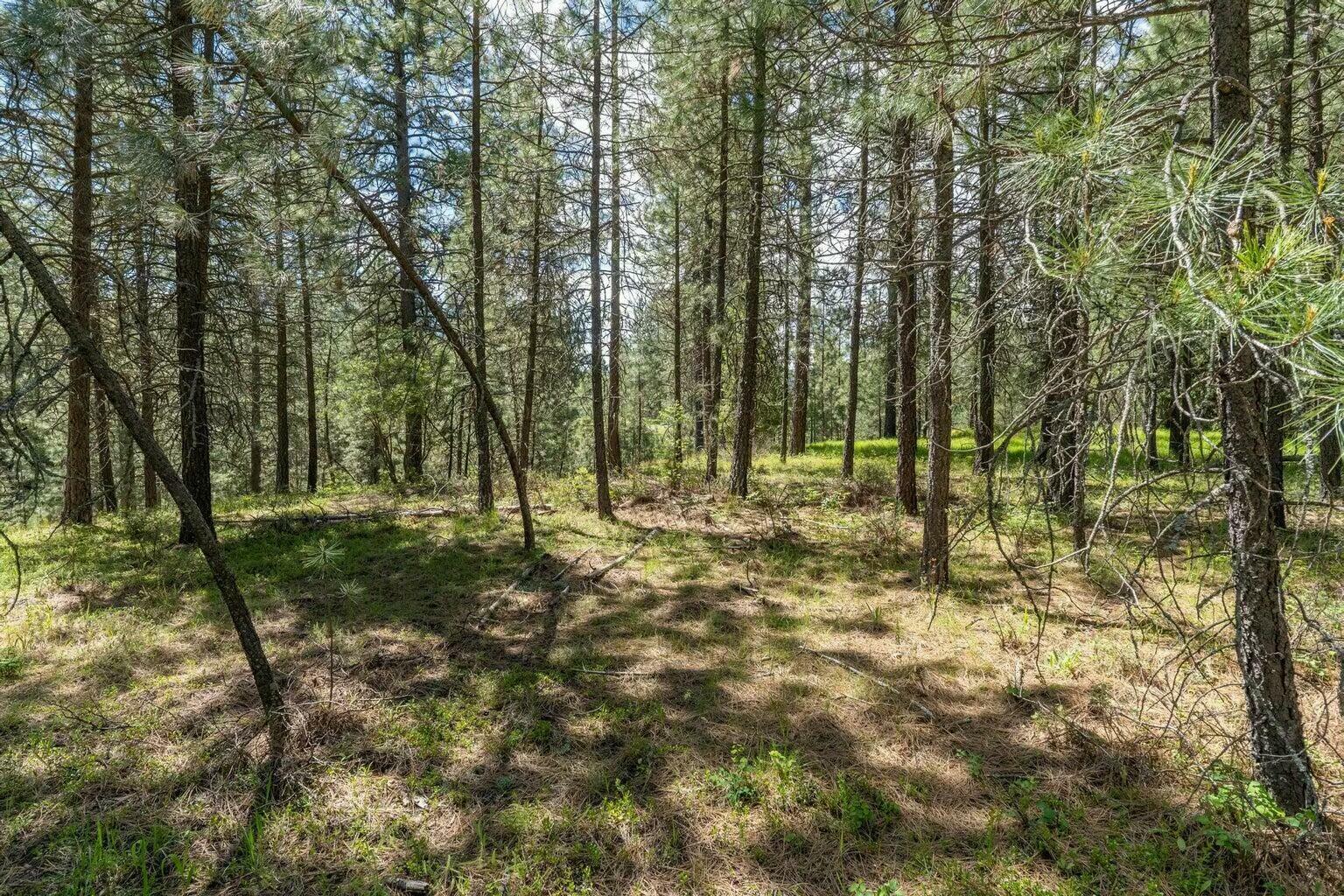 Property Photo: Lot 22 Couples Ct WA 99109