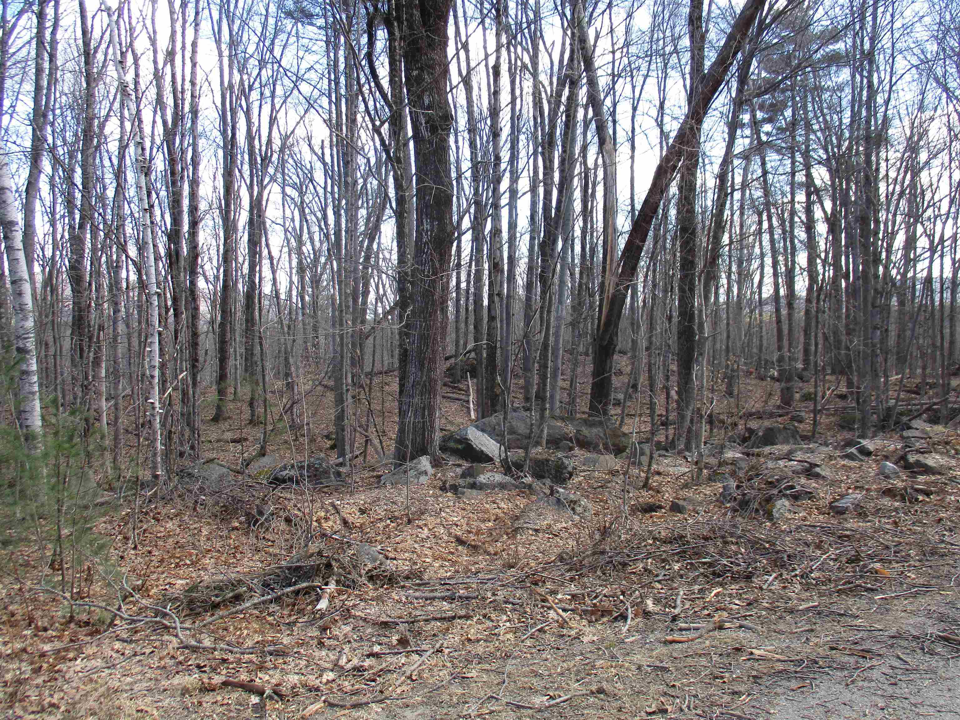 Property Photo:  S5-11 Longwood Drive  NH 03047 