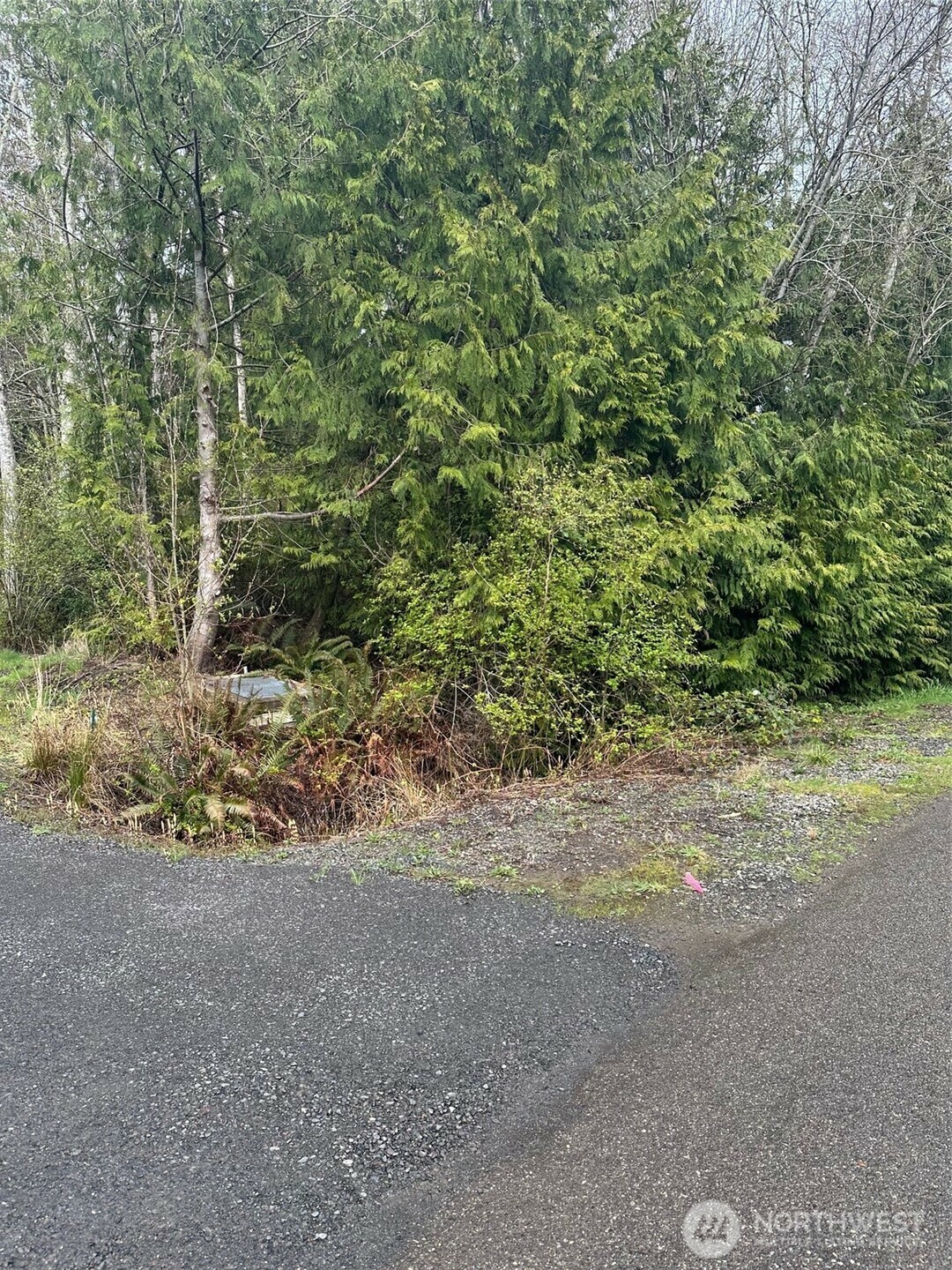 Property Photo: 2025 Baldwin Lane WA 98365