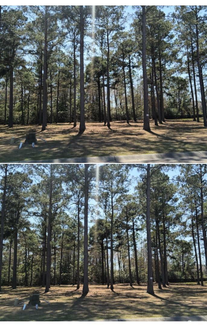 Property Photo:  1148 Fiddlehead Way  SC 29579 