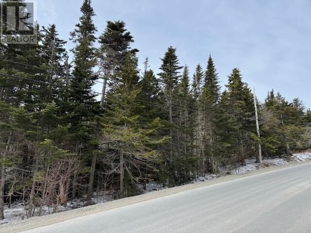 Property Photo:  0 Saddle Hill  NL A1Y 1A2 