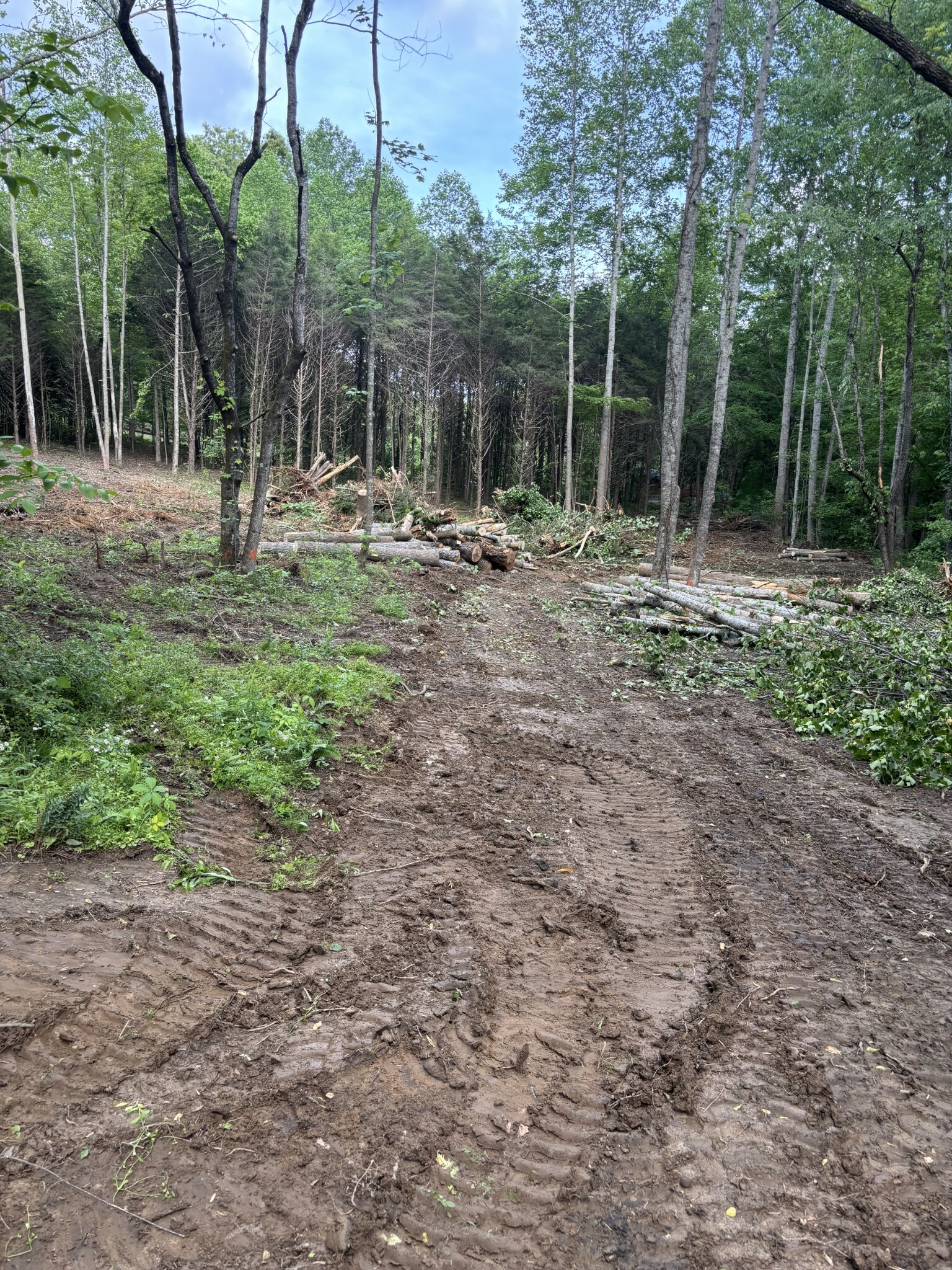 Property Photo: 820 Lucas Rd TN 37055