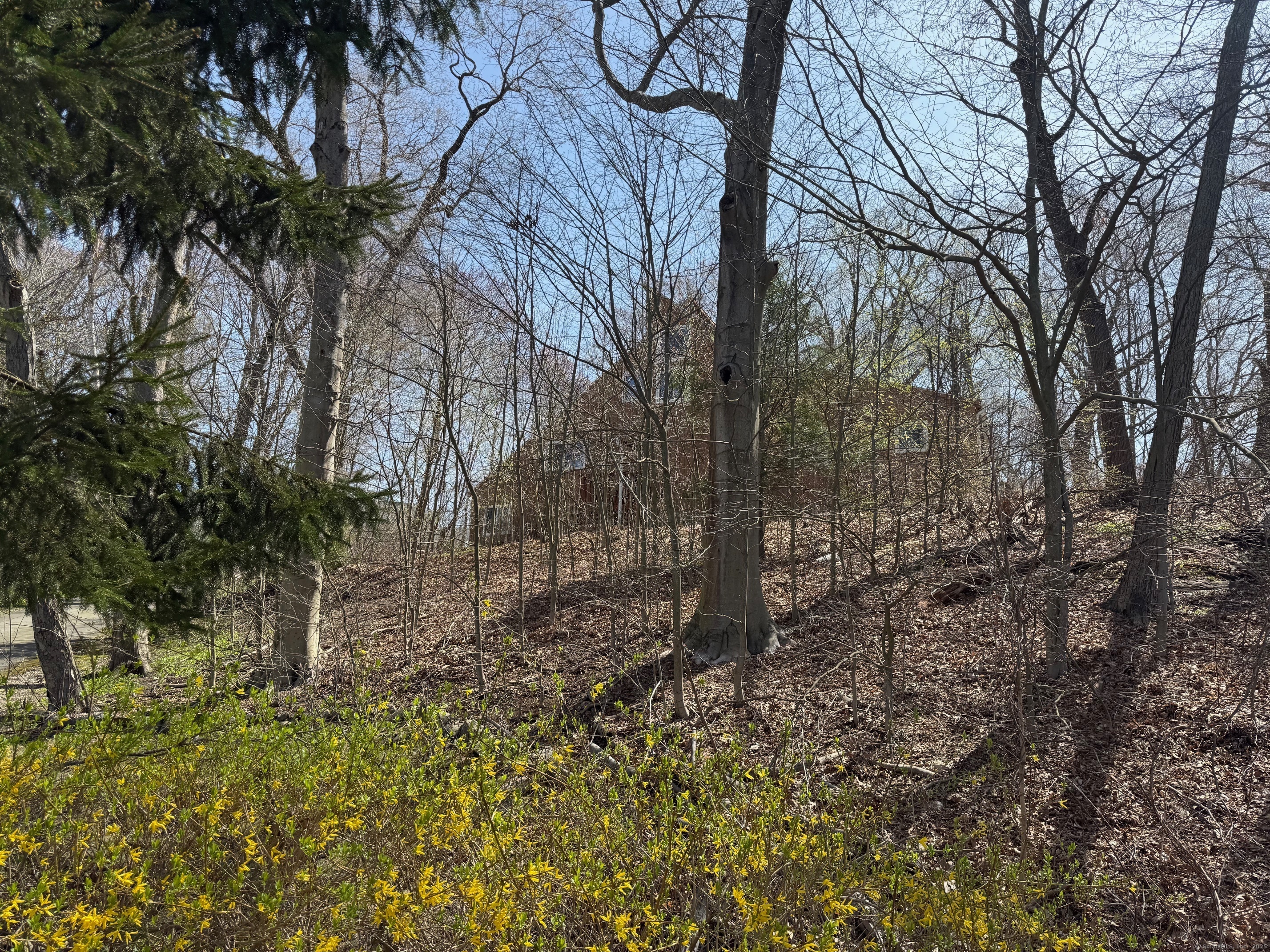 Property Photo: 953 Rainbow Trail CT 06477