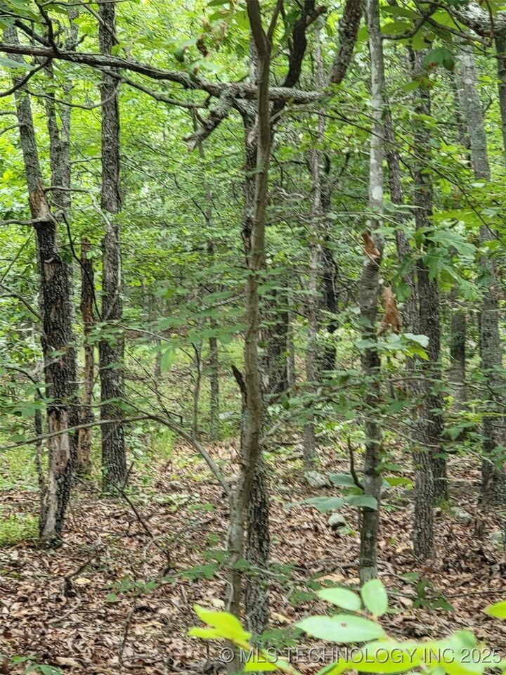 E 1115 Road  Sallisaw OK 74955 photo