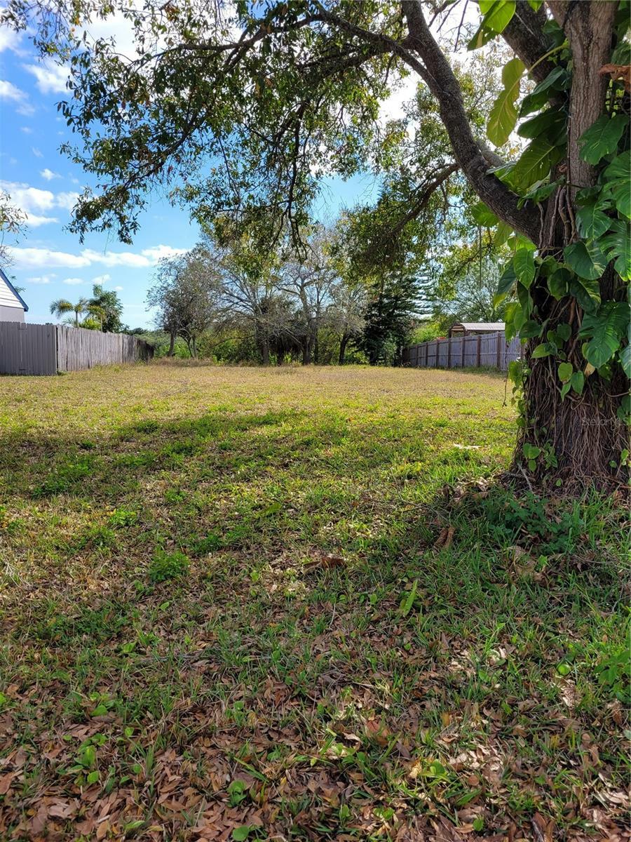 1907 Cutty Bay Court  Oldsmar FL 34677 photo