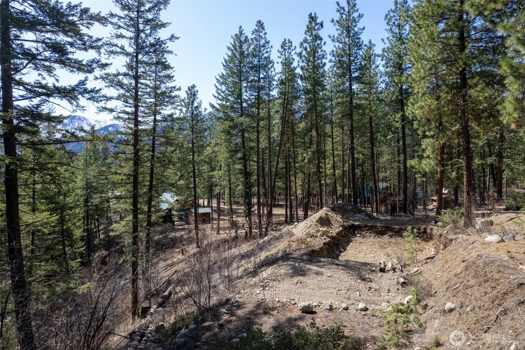 Property Photo: 94 Homestead Road WA 98862