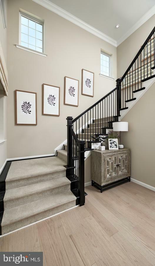 Property Photo: 217 Camwood Court VA 22405
