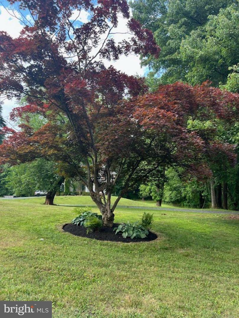 Property Photo: 7504 Glennon Drive MD 20817