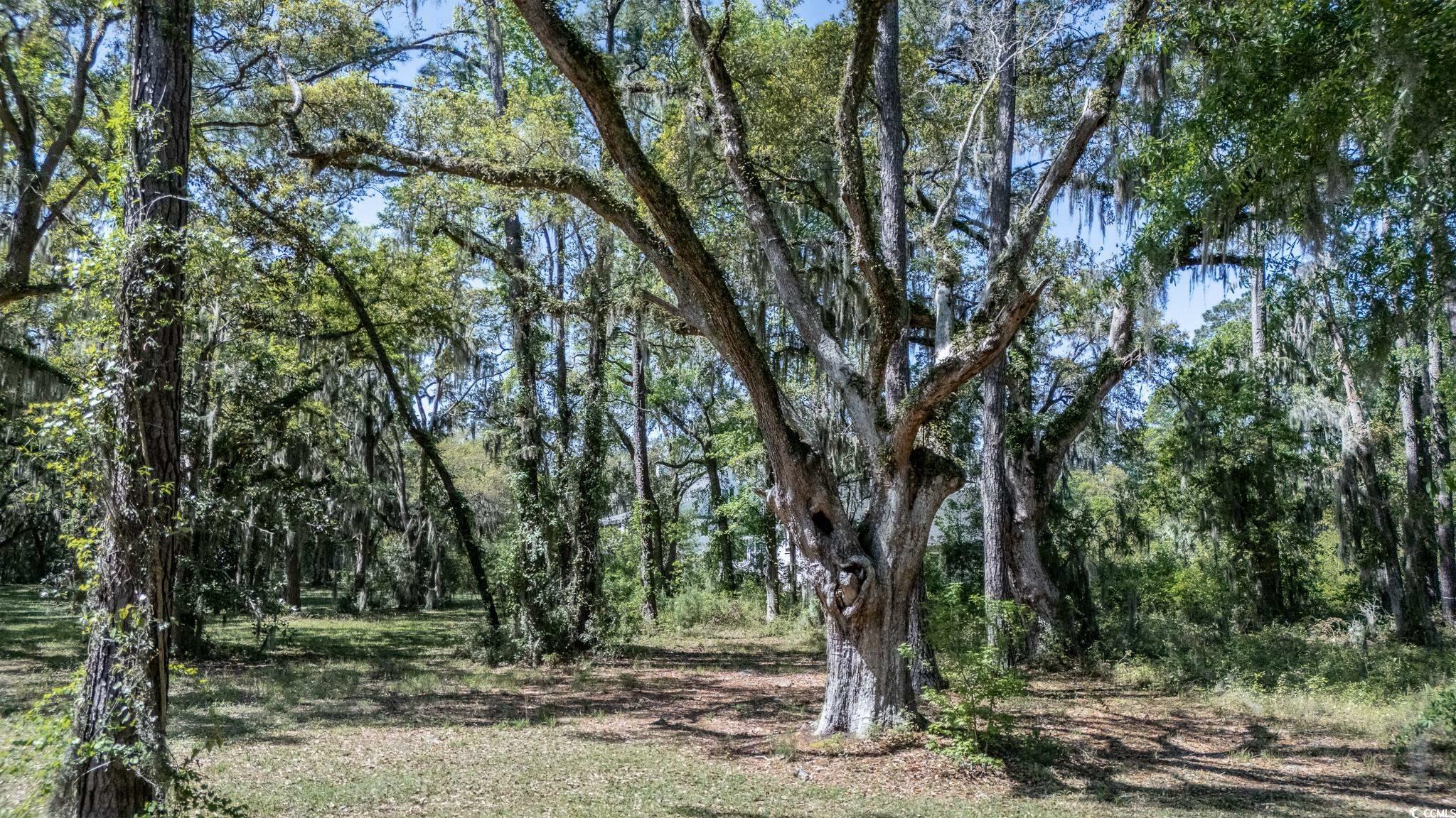 Property Photo:  865 Tuckers Rd.  SC 29585 