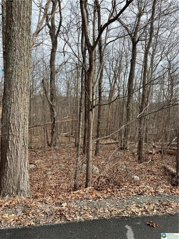 Property Photo: 119 Seneca Road PA 18210