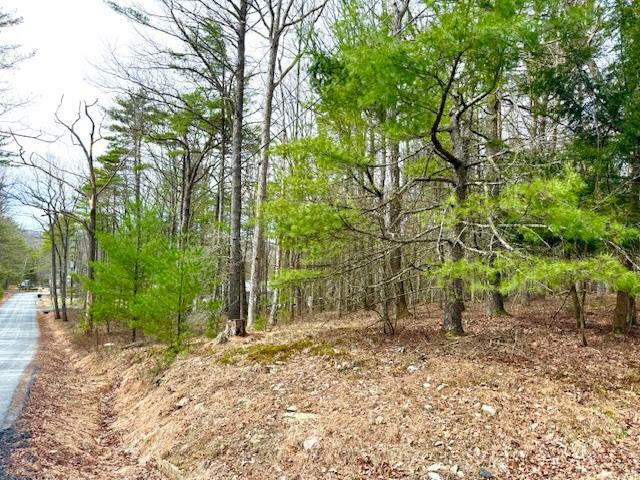 Lot 11 Magnolia Drive  Glen Spey NY 12737 photo