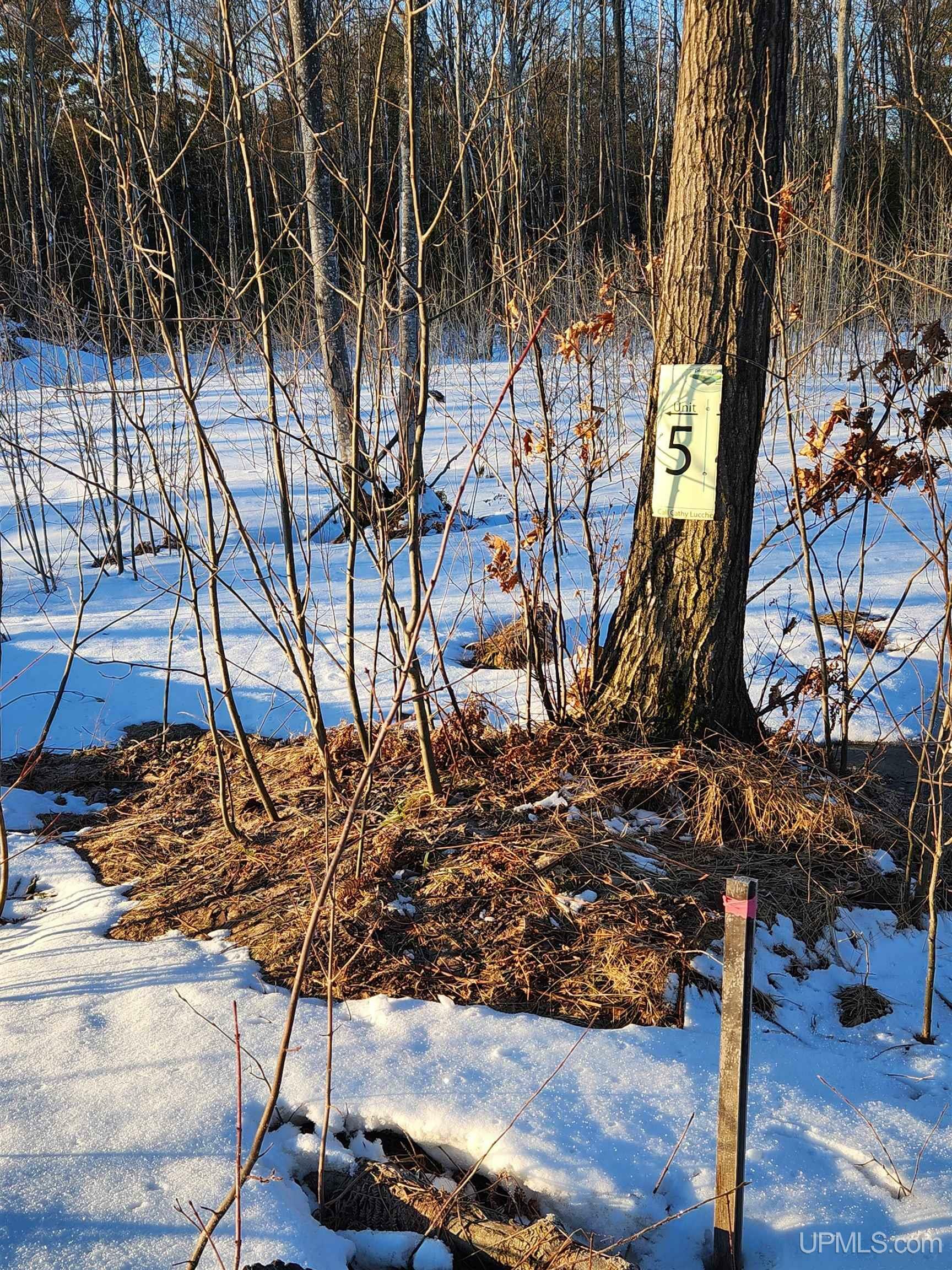 Property Photo: Unit 5 Greenway Drive MI 49916