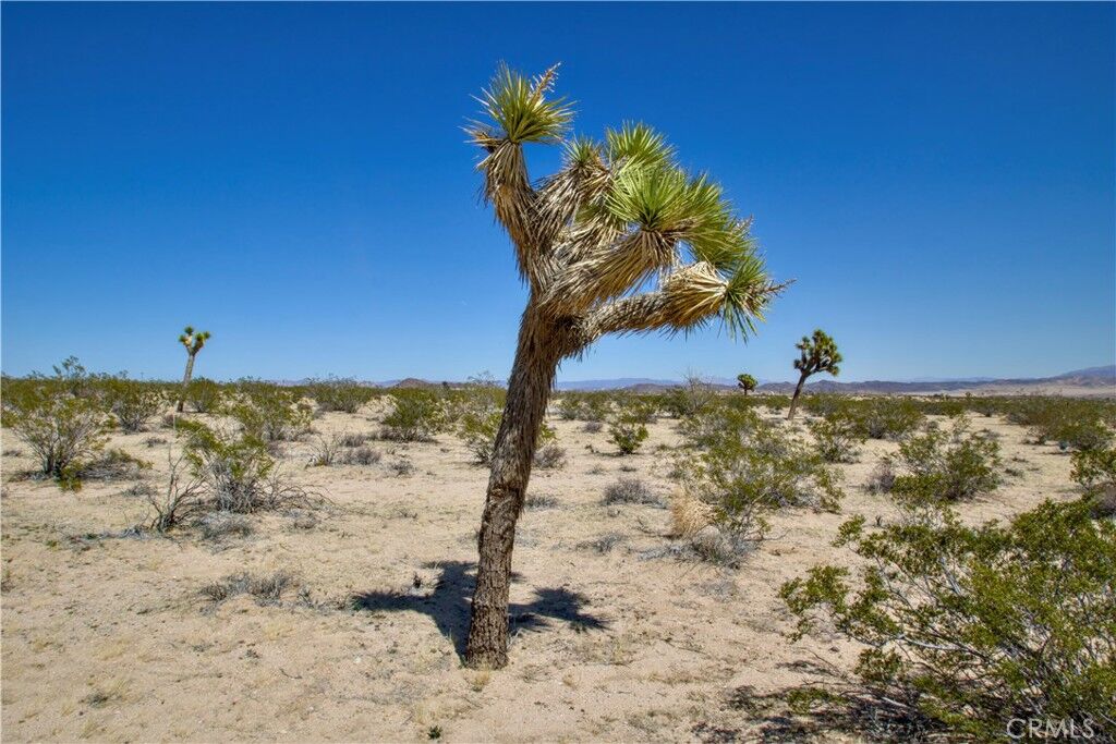 Property Photo: 2625 Sunset Road CA 92252