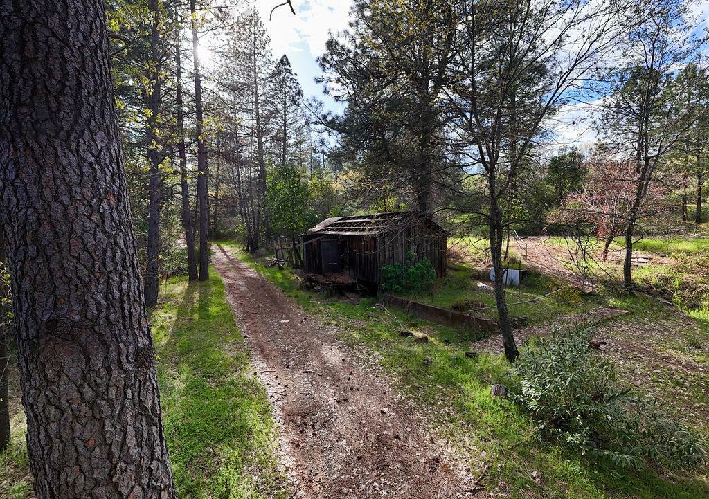 Property Photo: 10571 Sebastopol Road CA 95960