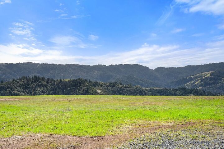 Property Photo:  11250 Skaggs Springs Road  CA 95448 