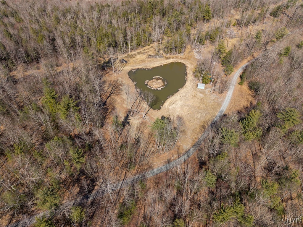 00 Black Ash Road  Woodhull NY 14898 photo