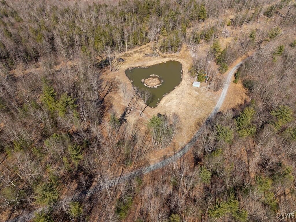 Property Photo:  00 Black Ash Road  NY 14898 