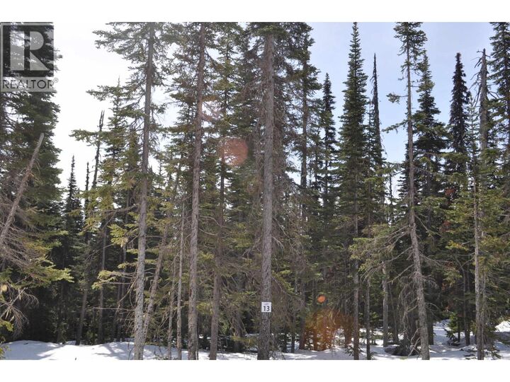 Property Photo:  Lt 13 Alpine Way Pr. St  BC V0J 2N0 