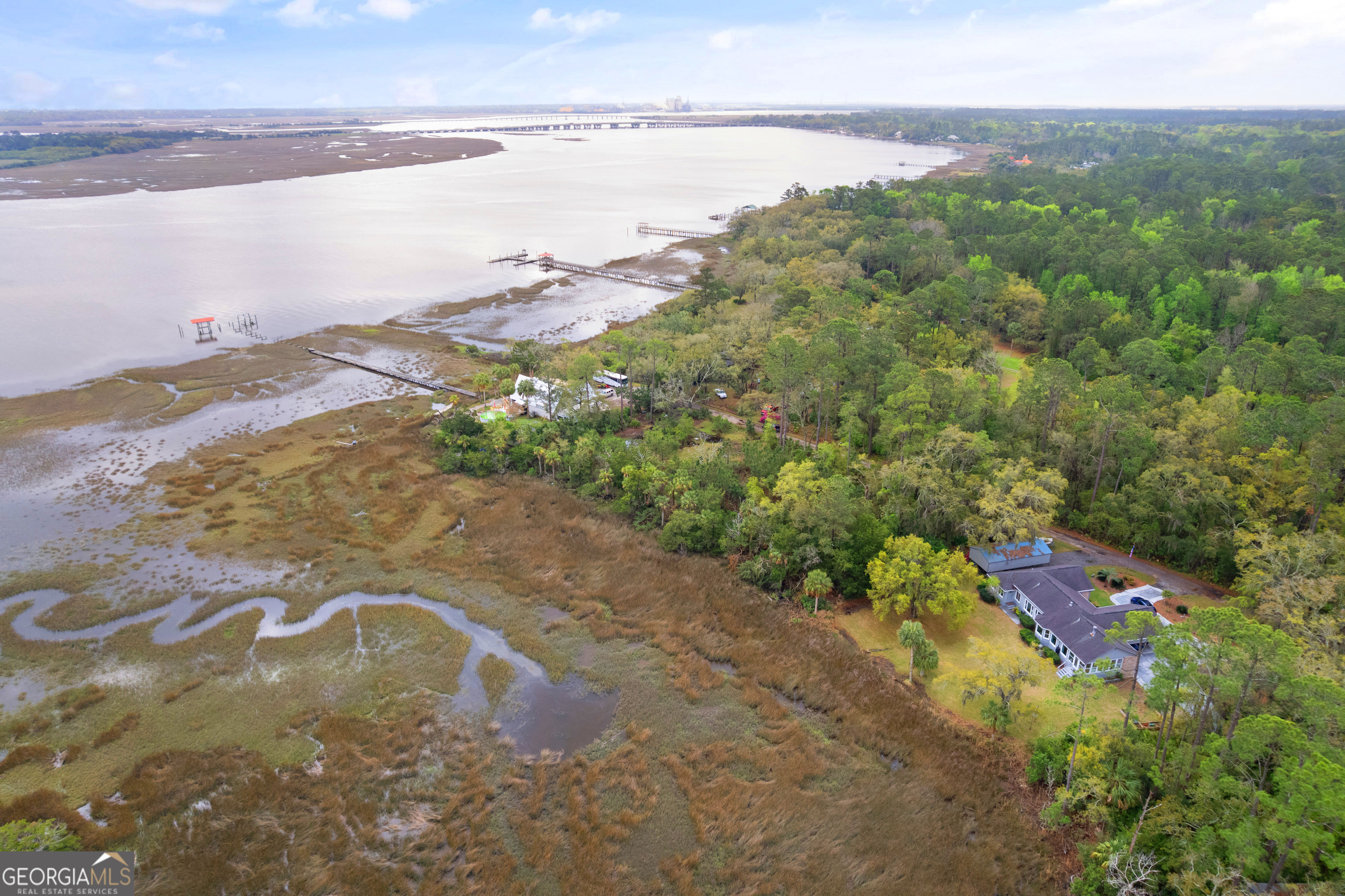 Property Photo: 180 Turtle River Lane GA 31523