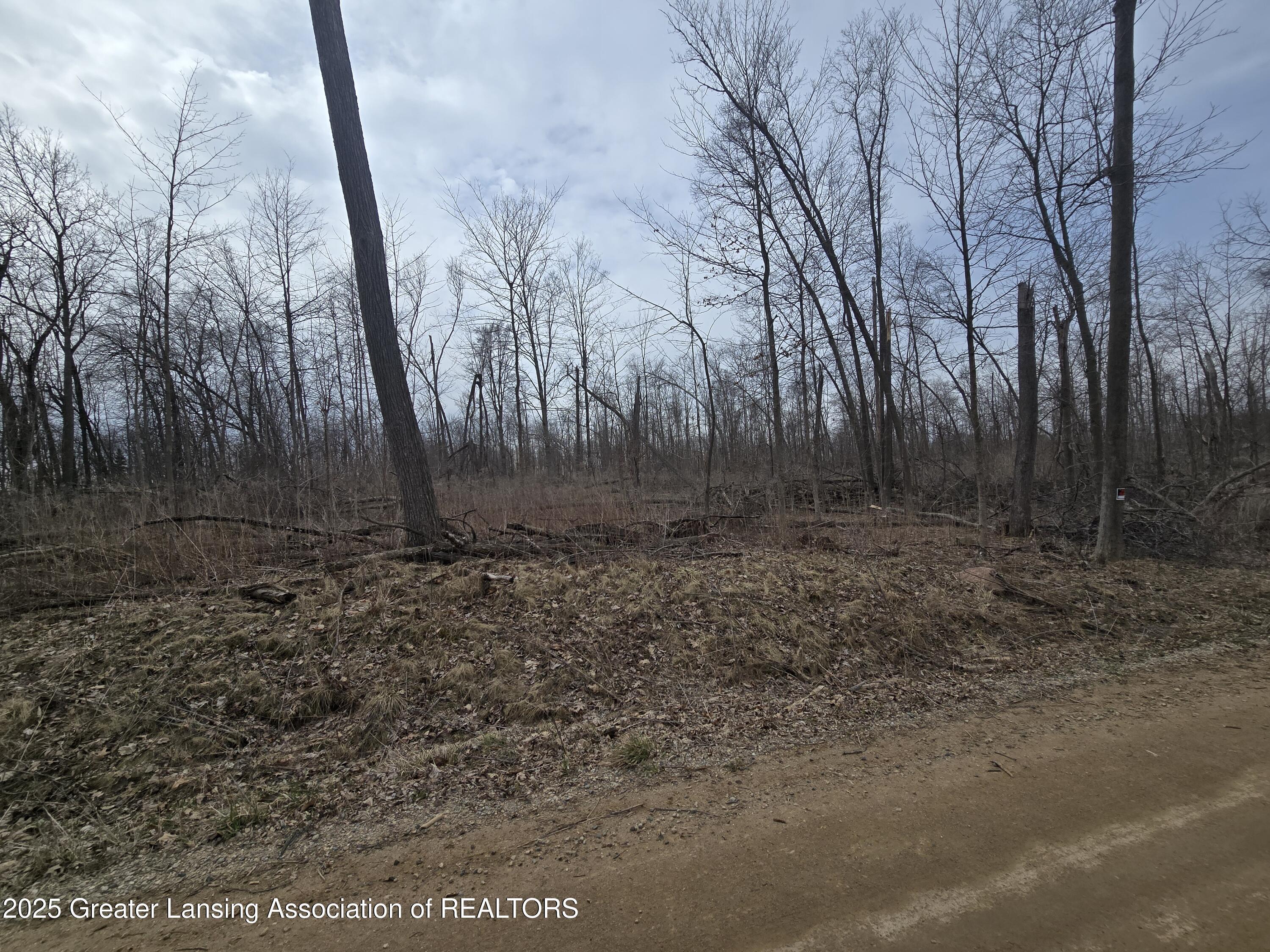 Property Photo:  2 W McCrumb Road  MI 48822 