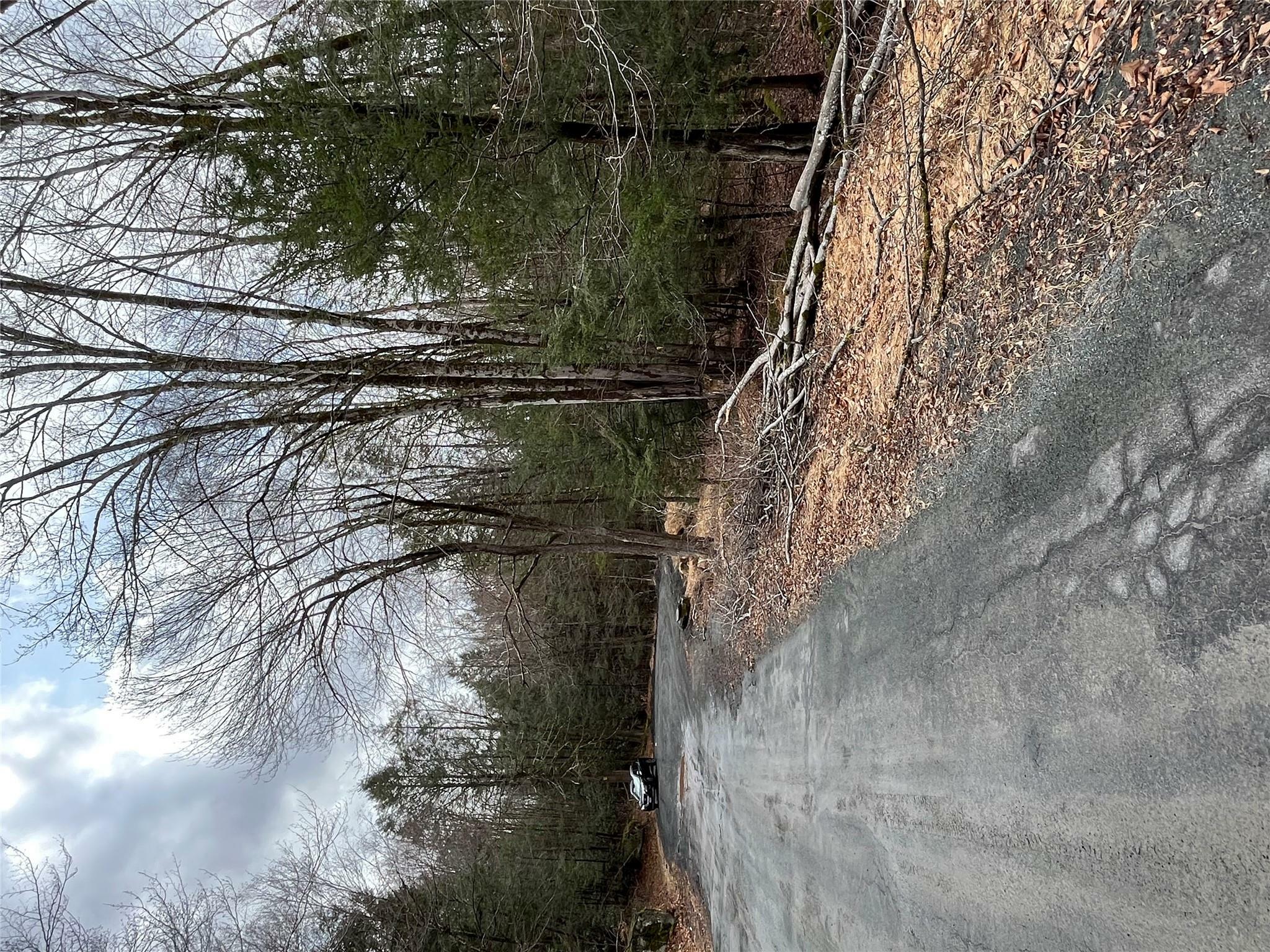 Property Photo: Leins Road, Fallsburg, Ny Leins Road NY 12733