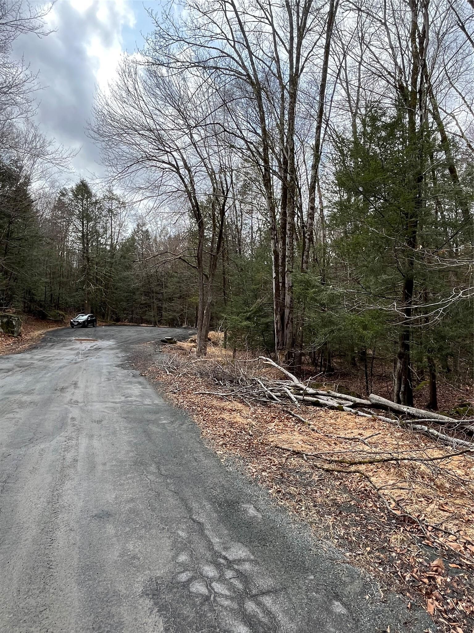 Property Photo:  Leins Road, Fallsburg, Ny Leins Road  NY 12733 