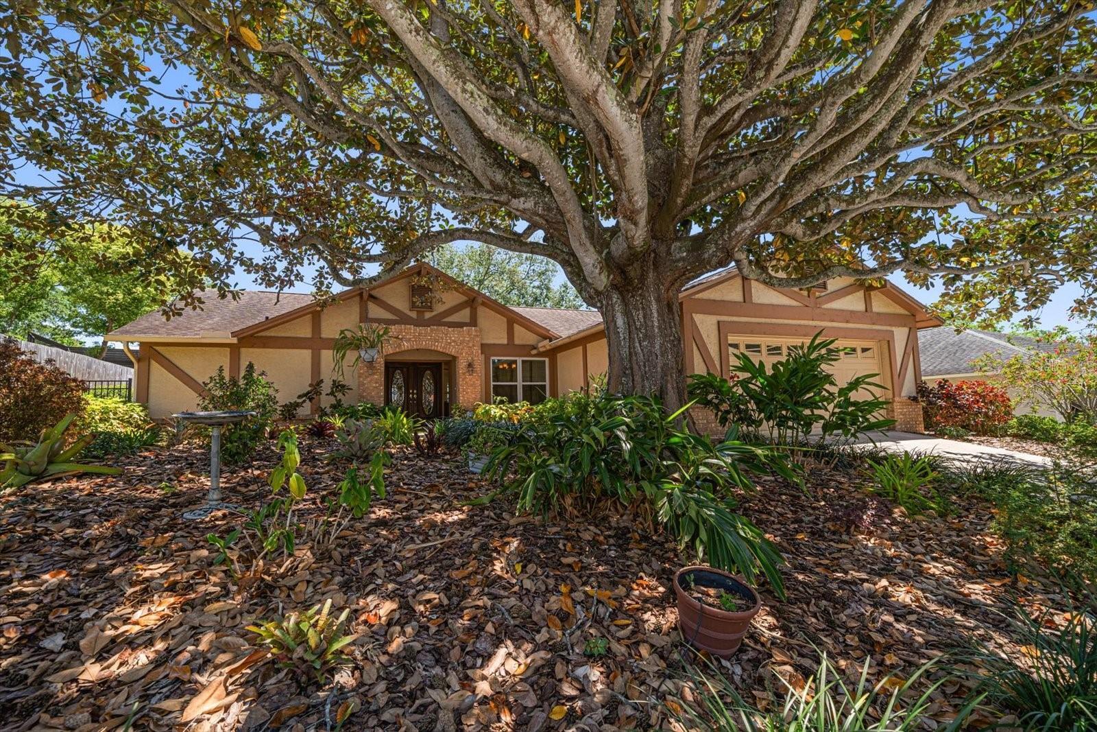 Property Photo:  4868 Lake Valencia Boulevard E  FL 34684 