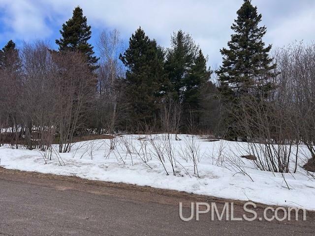 13516 W Jackola (#5 Amended) Road  Stanton MI 49905 photo