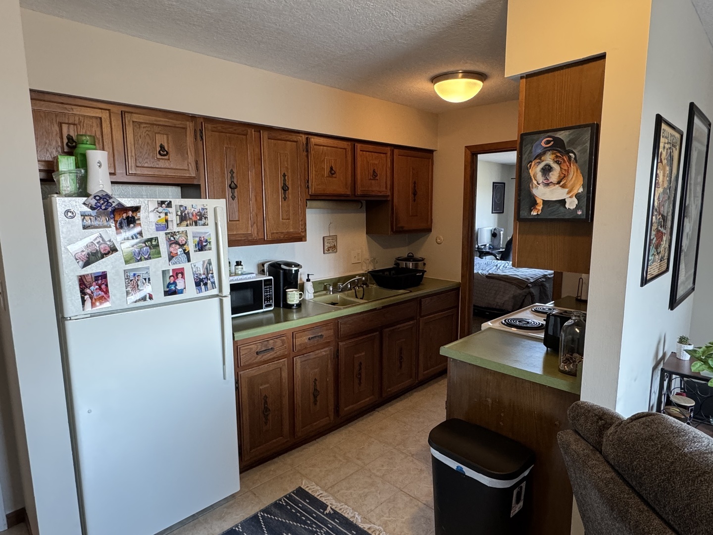 Property Photo: 352 N Birch Drive 14 IL 60950