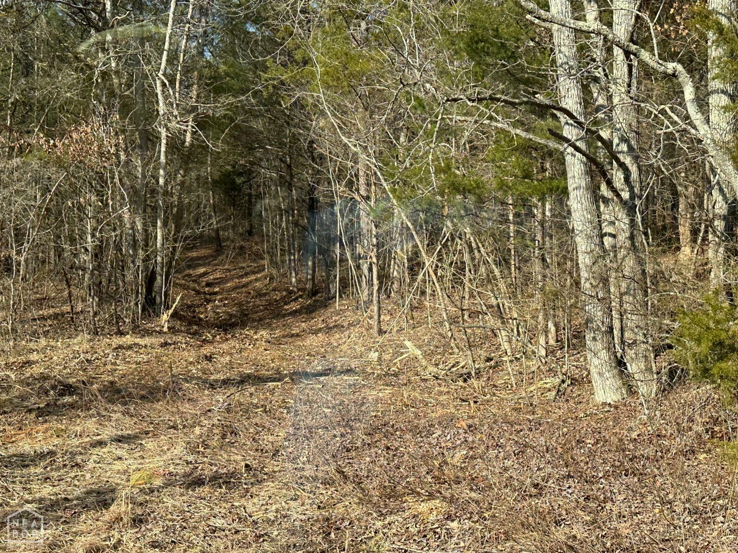 Property Photo: 881 Driftwood Drive AR 72566
