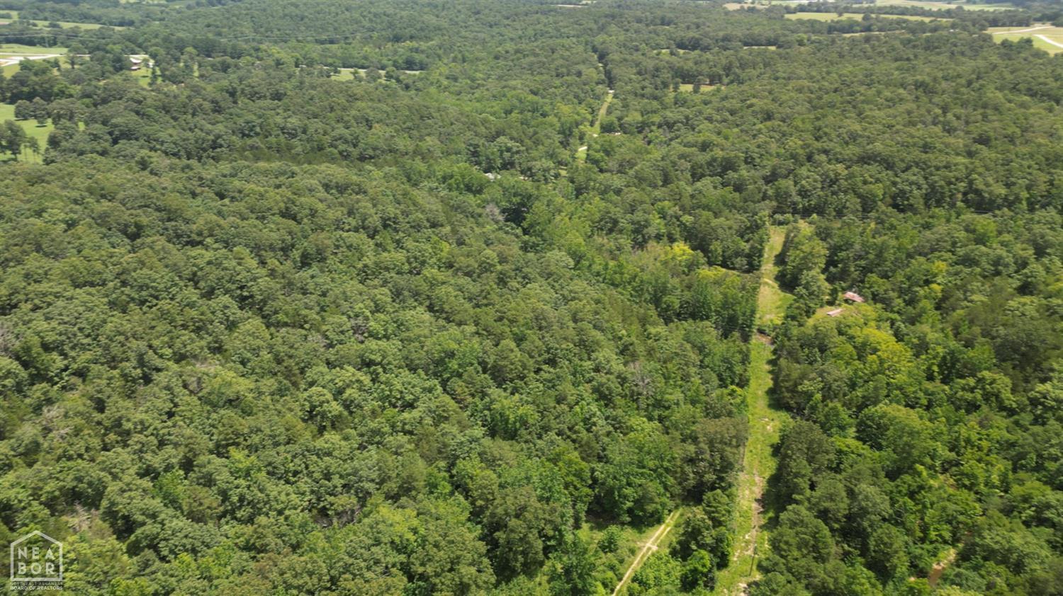 Property Photo: 881 Driftwood Drive AR 72566