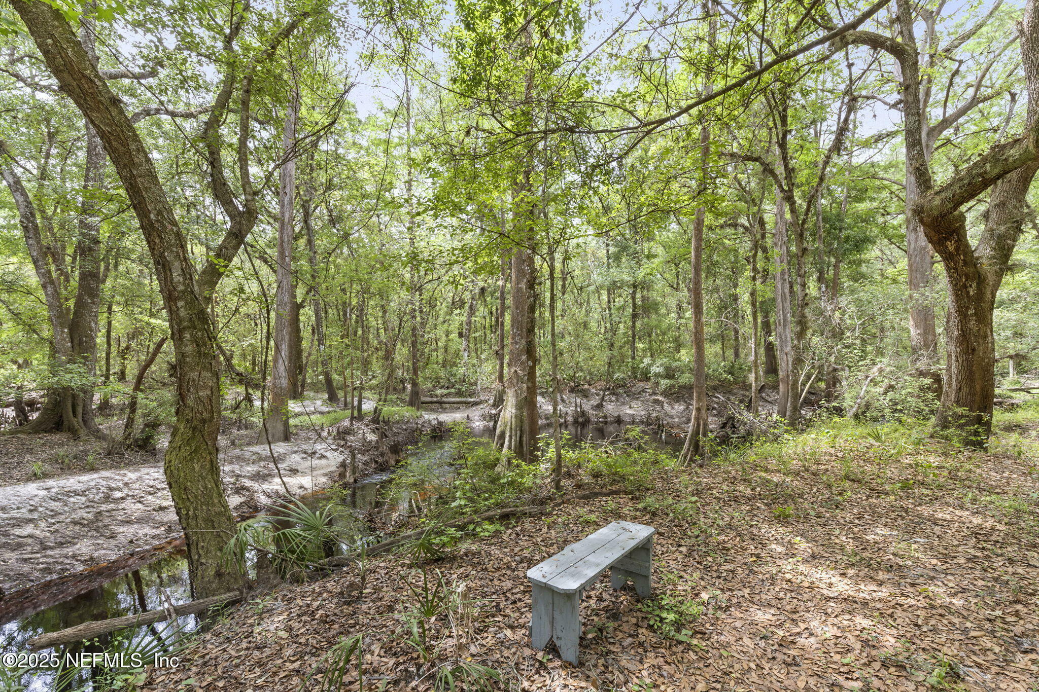 10554 Hillside Drive  Macclenny FL 32063 photo