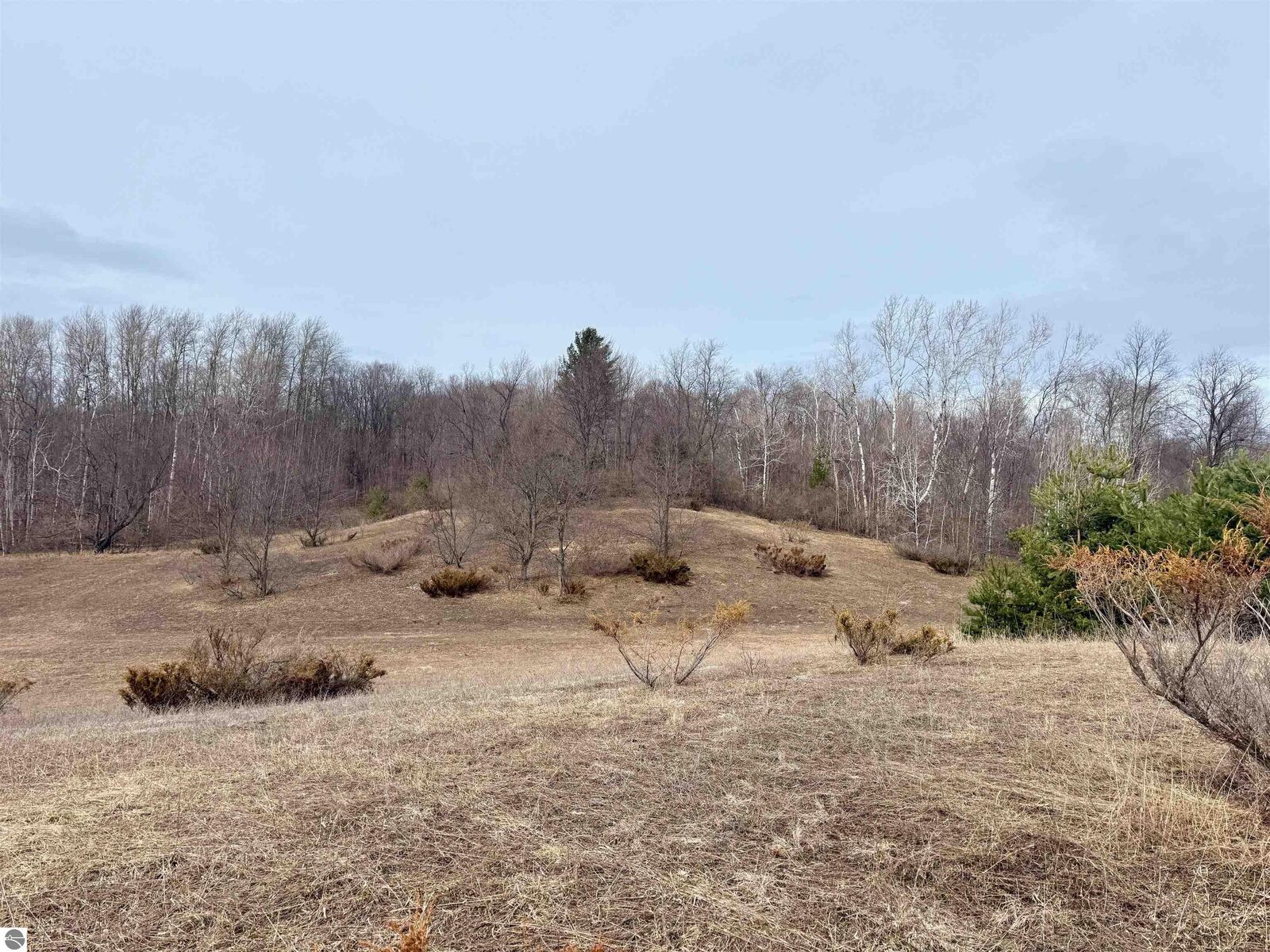 Property Photo:  000 W Trumbull Road Lot A  MI 49664 