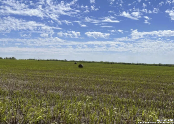 Property Photo: Tract B Abbott TX 78152