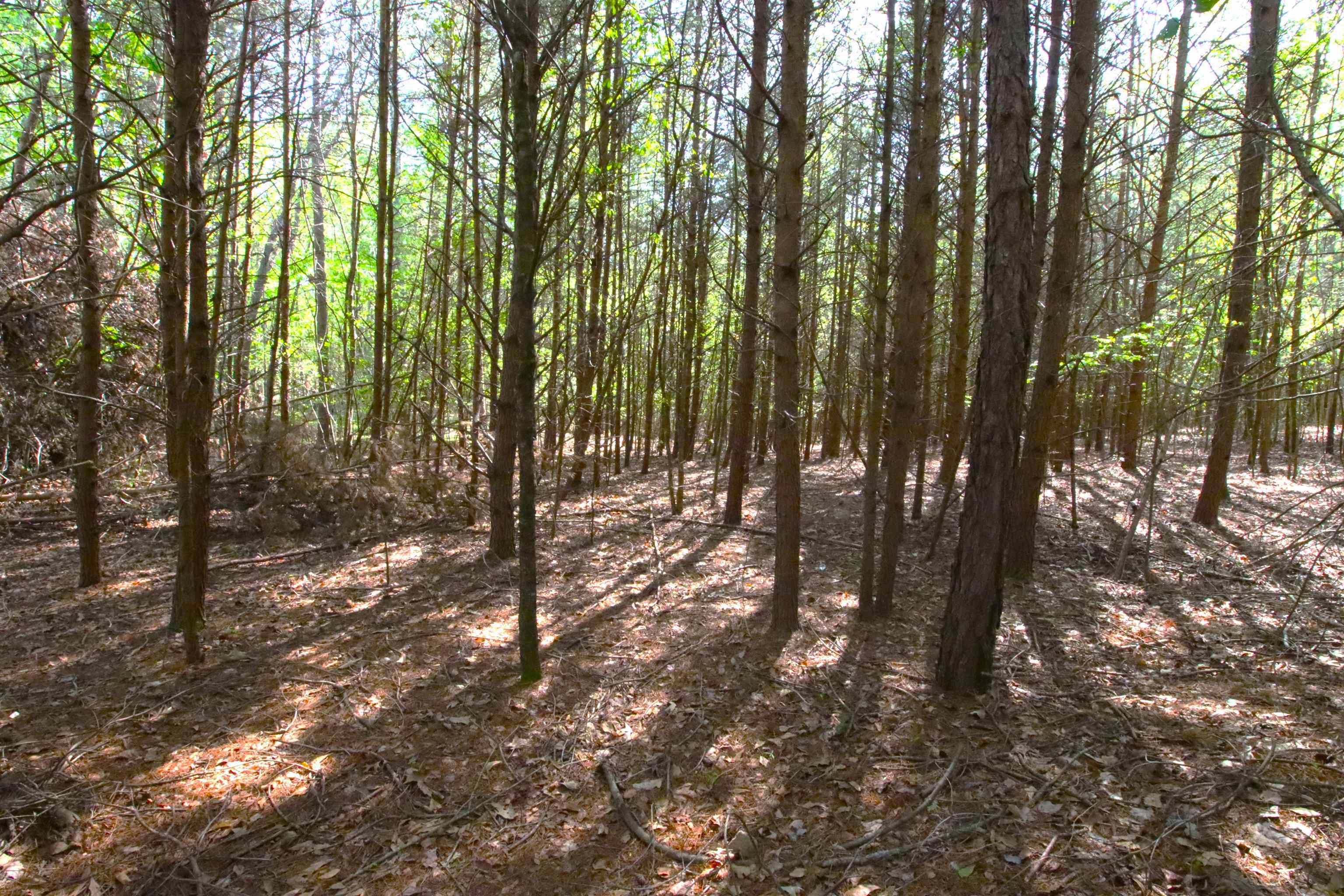 Property Photo: 0 Emma Cudd Road SC 29346