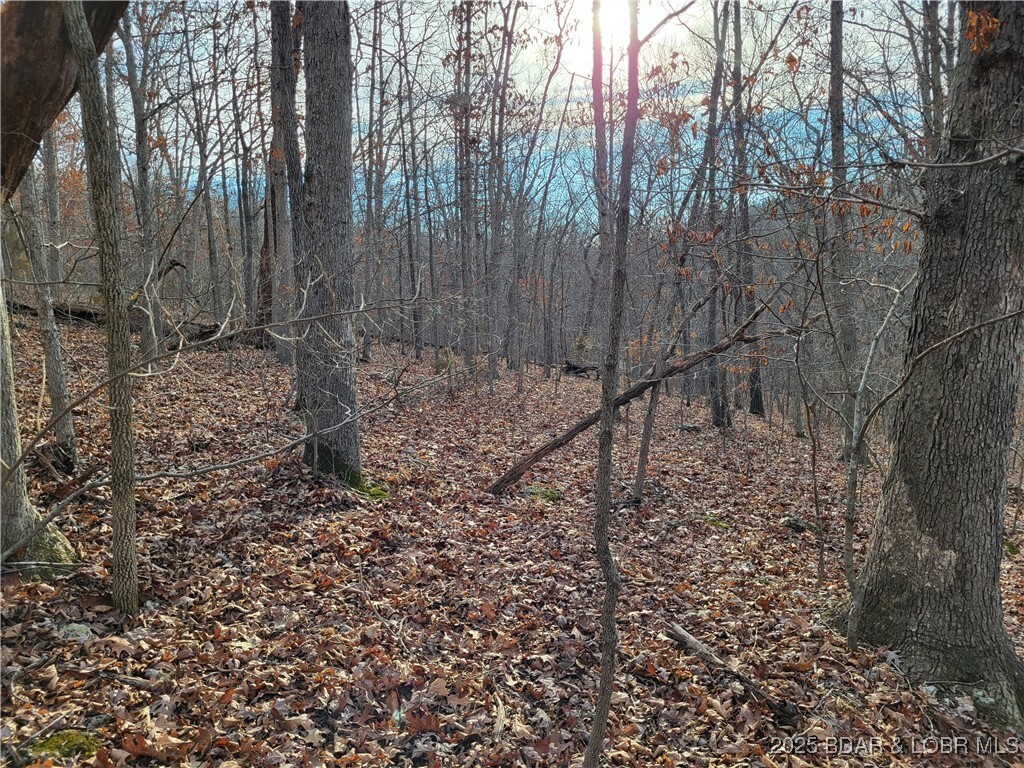 Property Photo: Lazy Acres Lots Road MO 65326