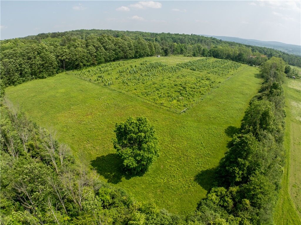 Property Photo:  20 Nelson Road  NY 14850 